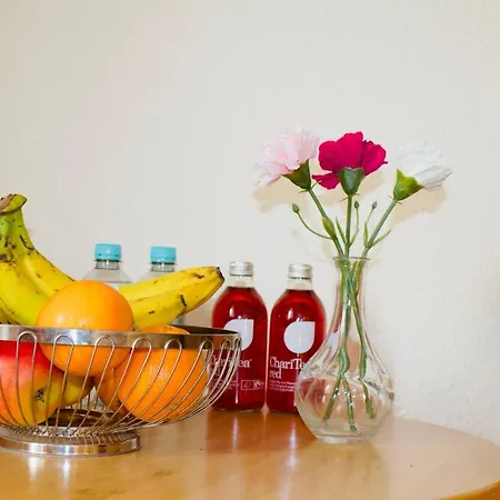 Austria Stuttgart-city 3* 슈투트가르트