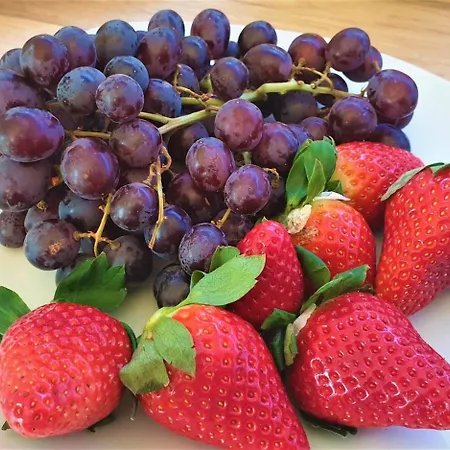 Hotel Austria Stuttgart-city