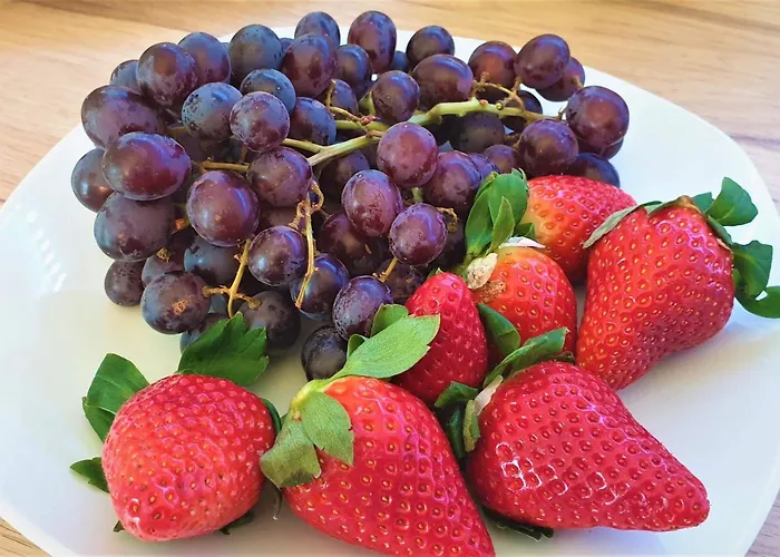 Hotel Austria Stuttgart-city